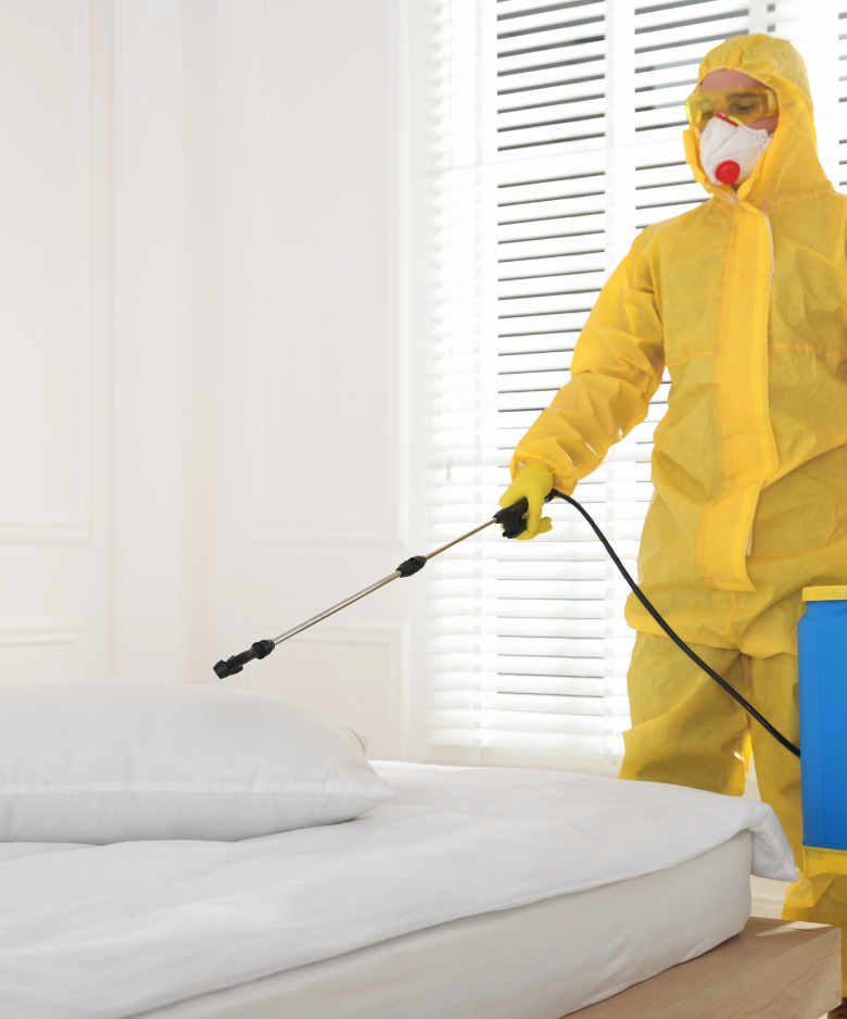 Professional Pest Control Team in Gumeracha